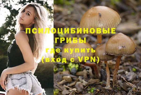 а пвп мука Кукмор