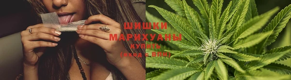круглые Абаза