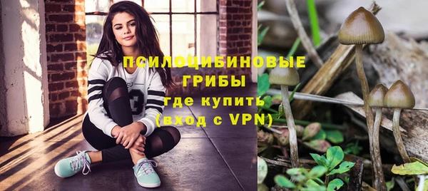 круглые Абаза