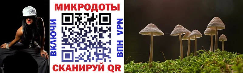 Псилоцибиновые грибы GOLDEN TEACHER  Домодедово 