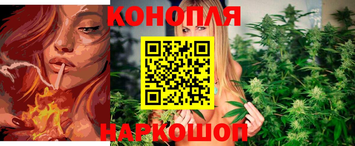 Каннабис сатива Домодедово